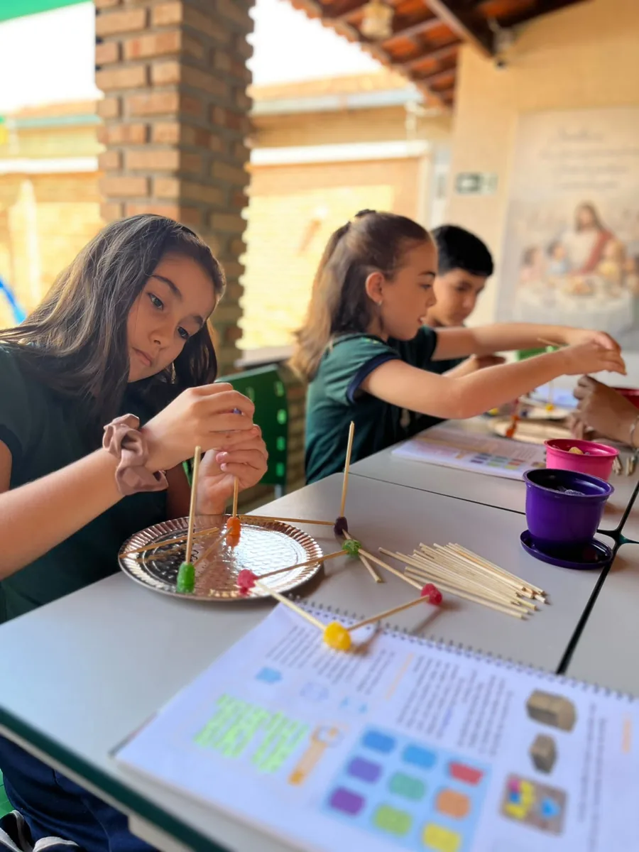 Alunos do Colégio Peregrinos em atividade pedagógica